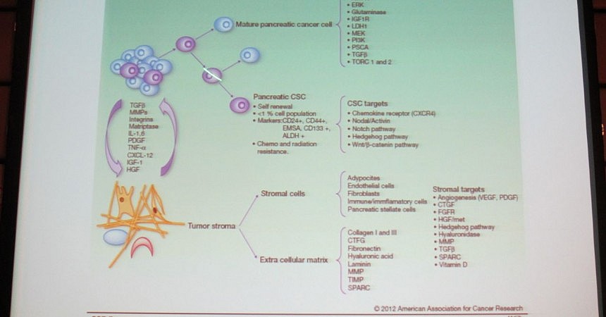 Biology of Pancreatic Cancer