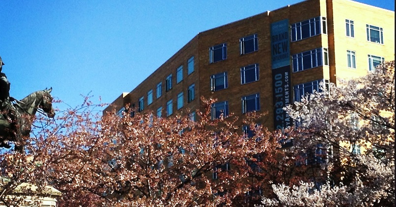 AACR Washington DC Cherry Blossoms