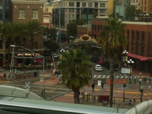 Palm trees in downtown San Diego